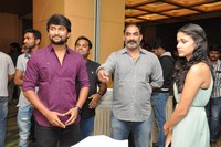 Bhale Bhale Magadivoy Movie  Successmeet Photos